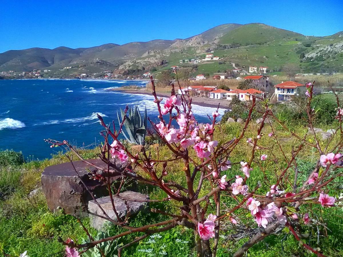 Vila Enalion House Agios Ioannis Kaspaka Exteriér fotografie