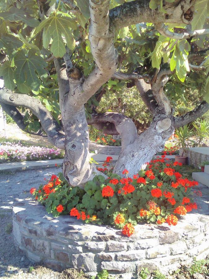 Vila Enalion House Agios Ioannis Kaspaka Exteriér fotografie